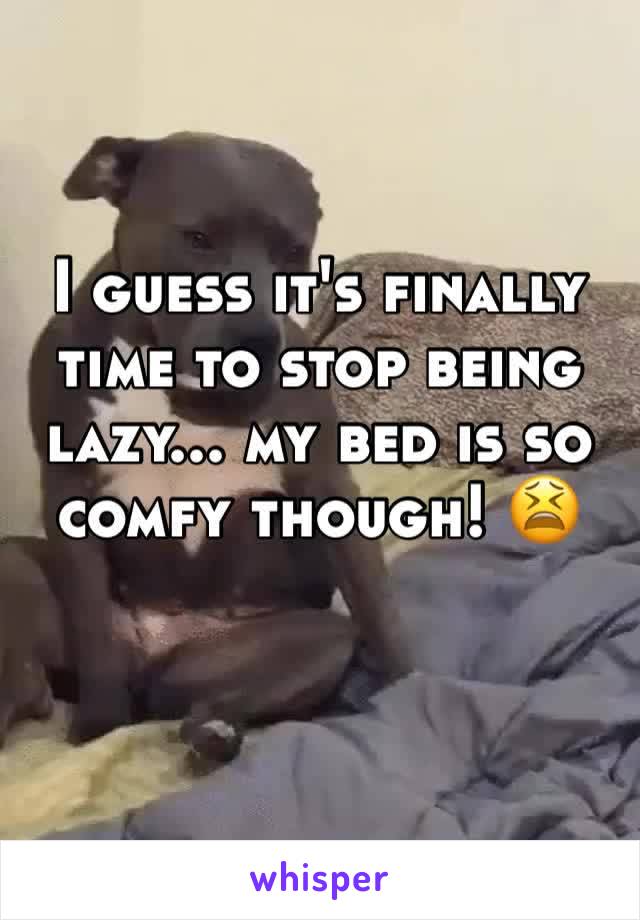 I guess it's finally time to stop being lazy... my bed is so comfy though! 😫