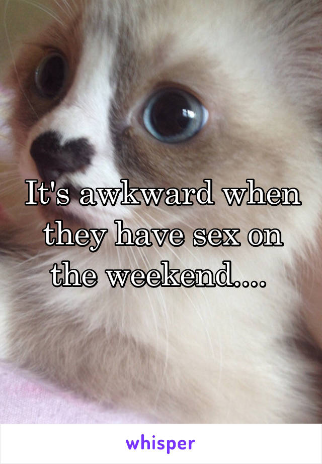 It's awkward when they have sex on the weekend.... 