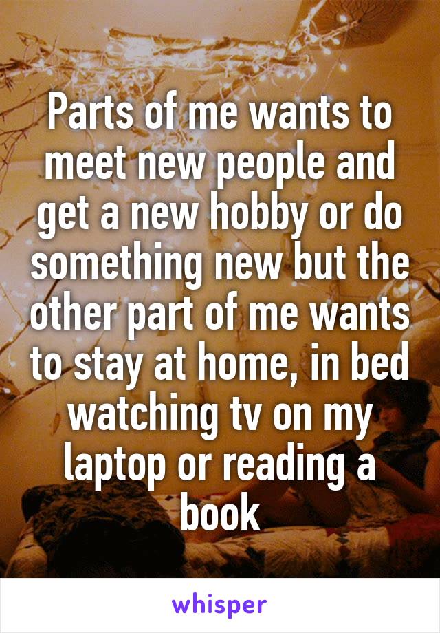 Parts of me wants to meet new people and get a new hobby or do something new but the other part of me wants to stay at home, in bed watching tv on my laptop or reading a book