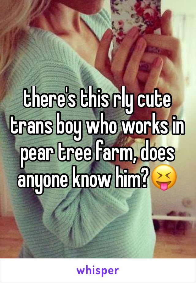 there's this rly cute trans boy who works in pear tree farm, does anyone know him?😝