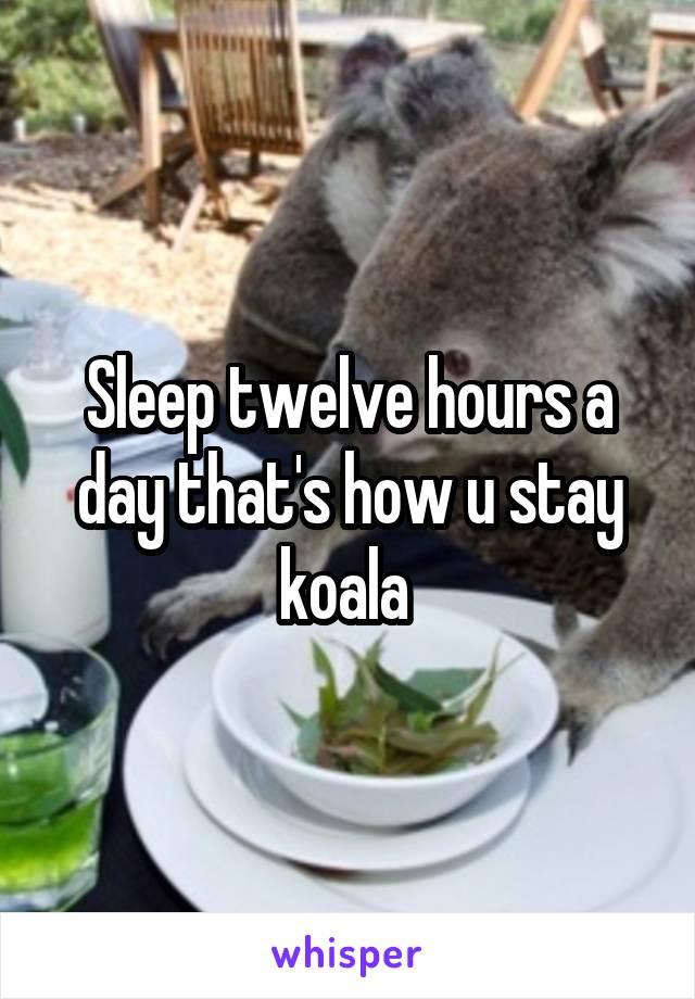 Sleep twelve hours a day that's how u stay koala 