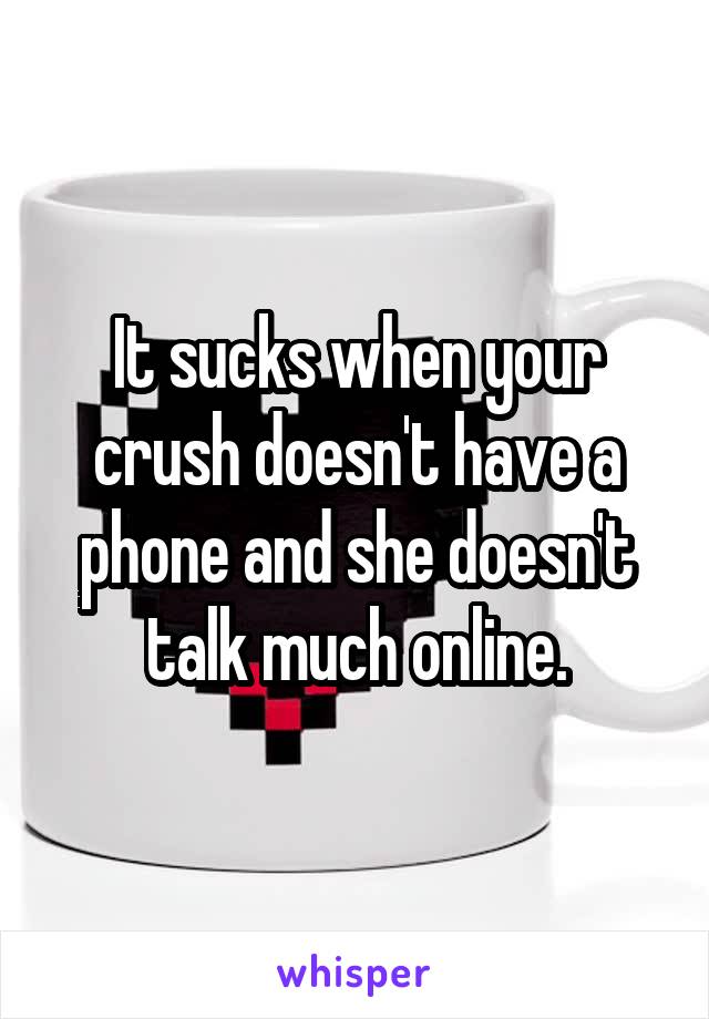 It sucks when your crush doesn't have a phone and she doesn't talk much online.