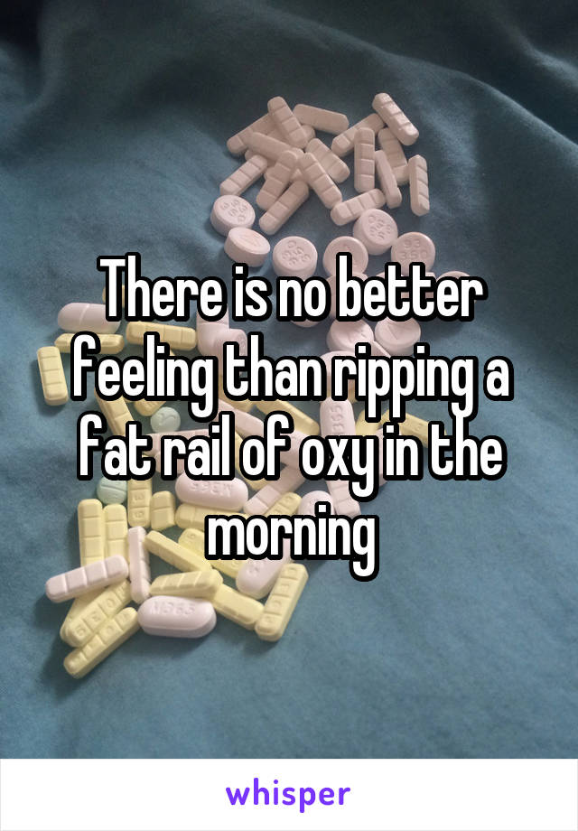 There is no better feeling than ripping a fat rail of oxy in the morning