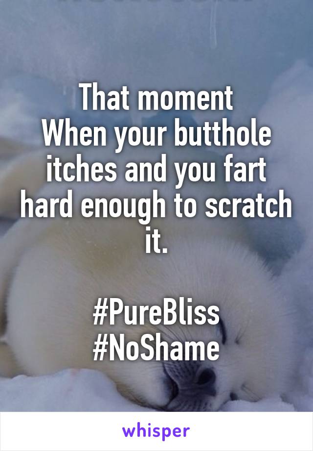 That moment
When your butthole itches and you fart hard enough to scratch it.

#PureBliss
#NoShame