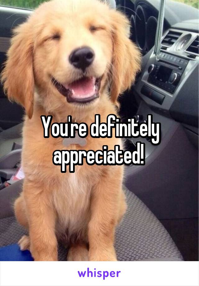 You're definitely appreciated! 