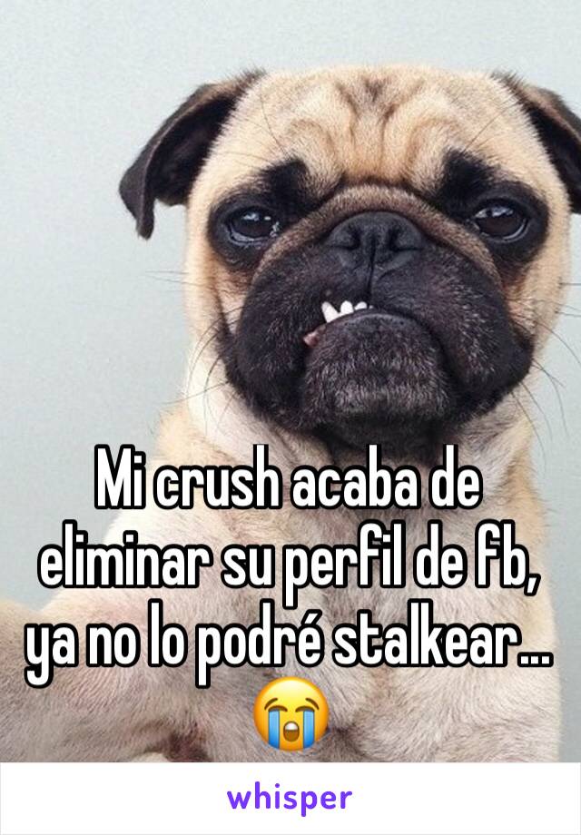 Mi crush acaba de eliminar su perfil de fb, ya no lo podré stalkear... 😭