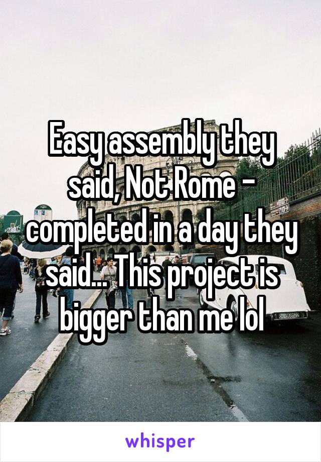 Easy assembly they said, Not Rome - completed in a day they said... This project is bigger than me lol