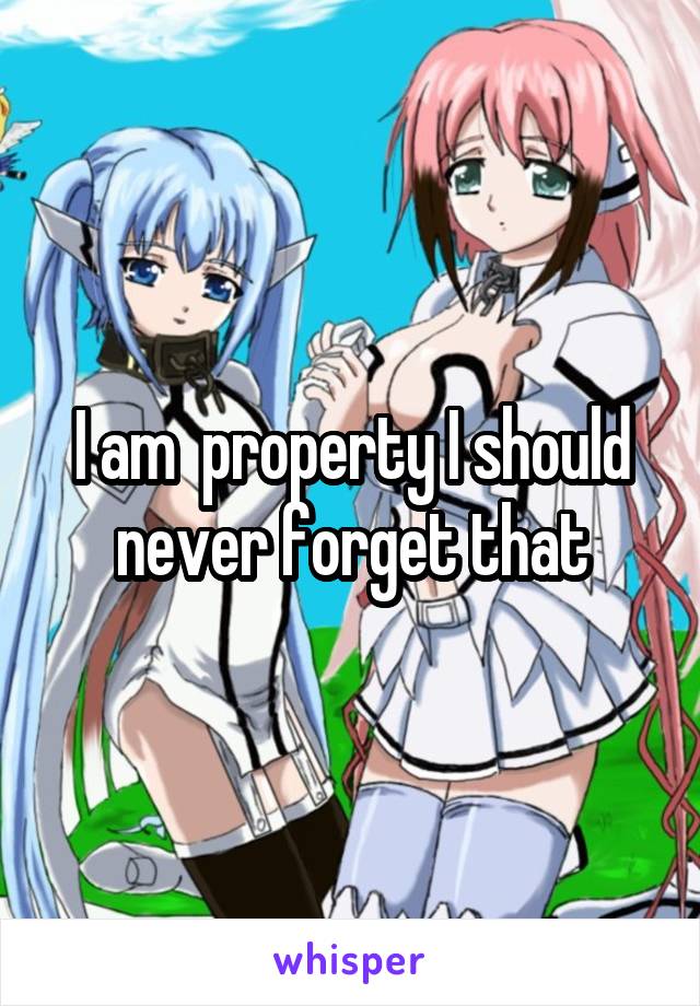 I am  property I should never forget that