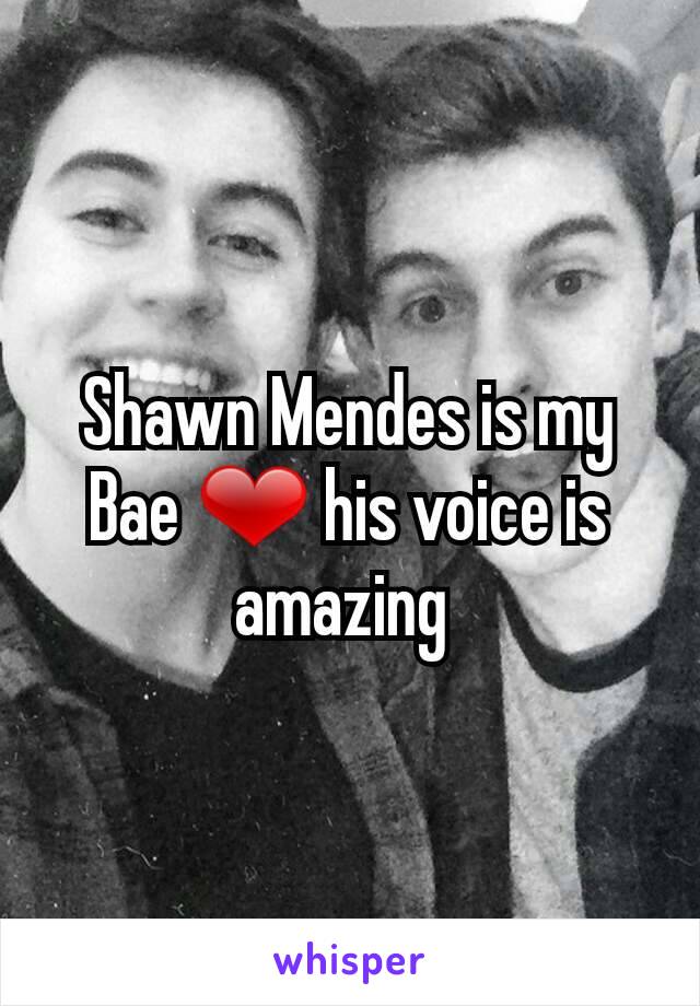 Shawn Mendes is my Bae ❤ his voice is amazing 