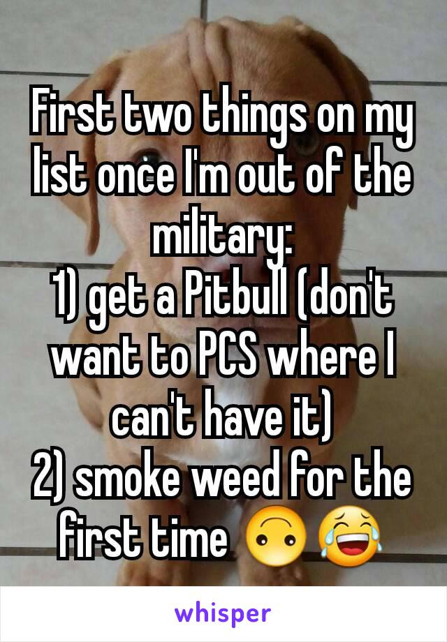 First two things on my list once I'm out of the military:
1) get a Pitbull (don't want to PCS where I can't have it)
2) smoke weed for the first time 🙃😂