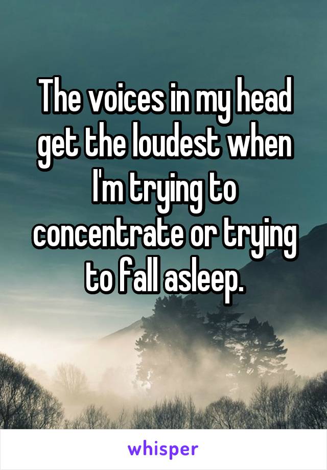 The voices in my head get the loudest when I'm trying to concentrate or trying to fall asleep.

