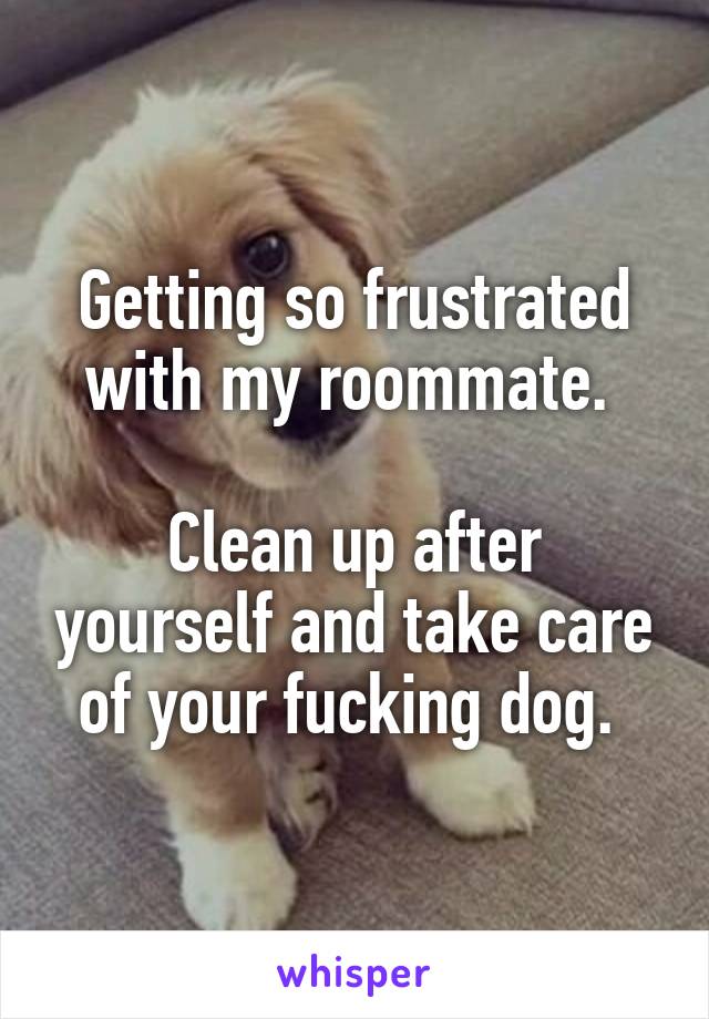 Getting so frustrated with my roommate. 

Clean up after yourself and take care of your fucking dog. 