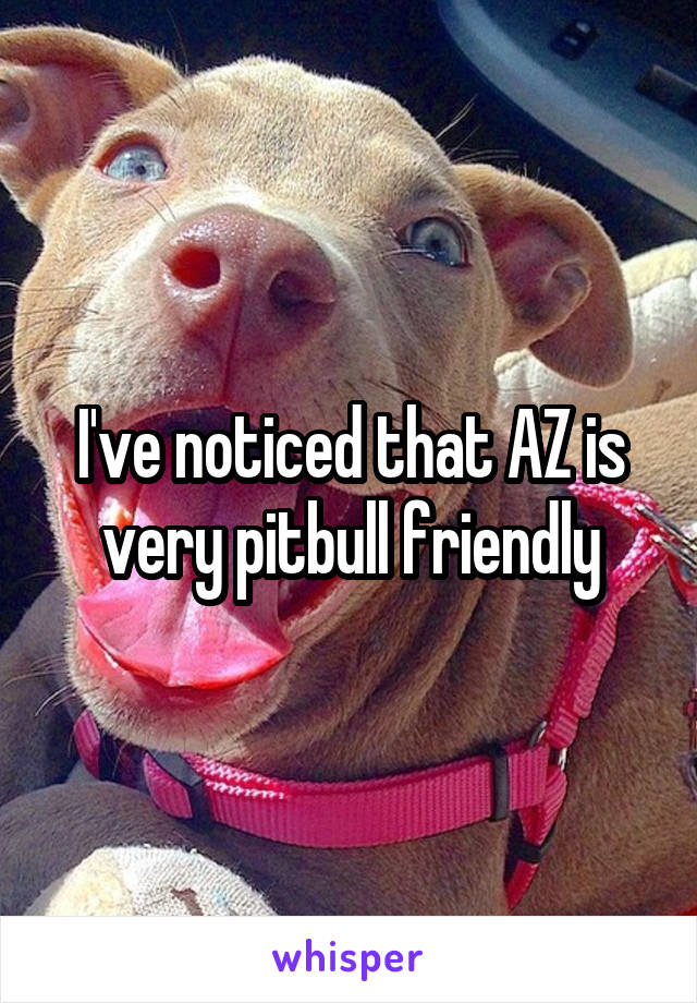 I've noticed that AZ is very pitbull friendly