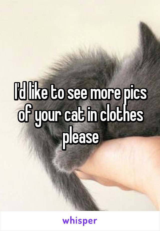 I'd like to see more pics of your cat in clothes please