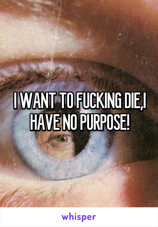 I WANT TO FUCKING DIE,I HAVE NO PURPOSE!