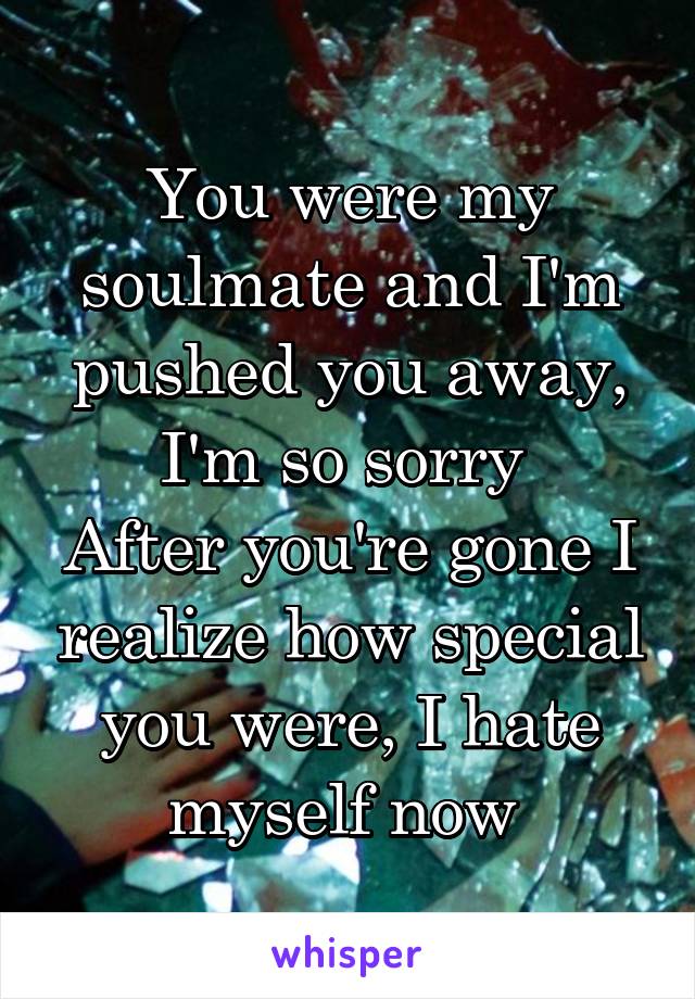 You were my soulmate and I'm pushed you away, I'm so sorry 
After you're gone I realize how special you were, I hate myself now 