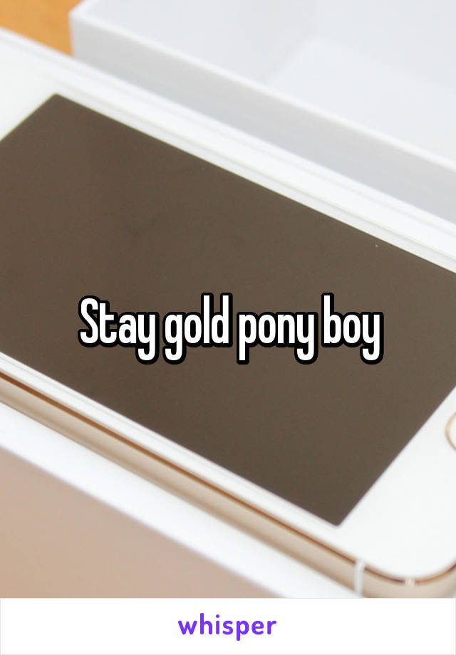 Stay gold pony boy