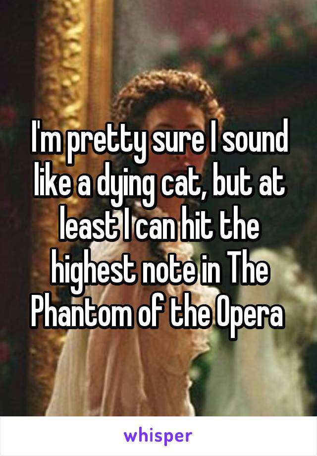 I'm pretty sure I sound like a dying cat, but at least I can hit the highest note in The Phantom of the Opera 