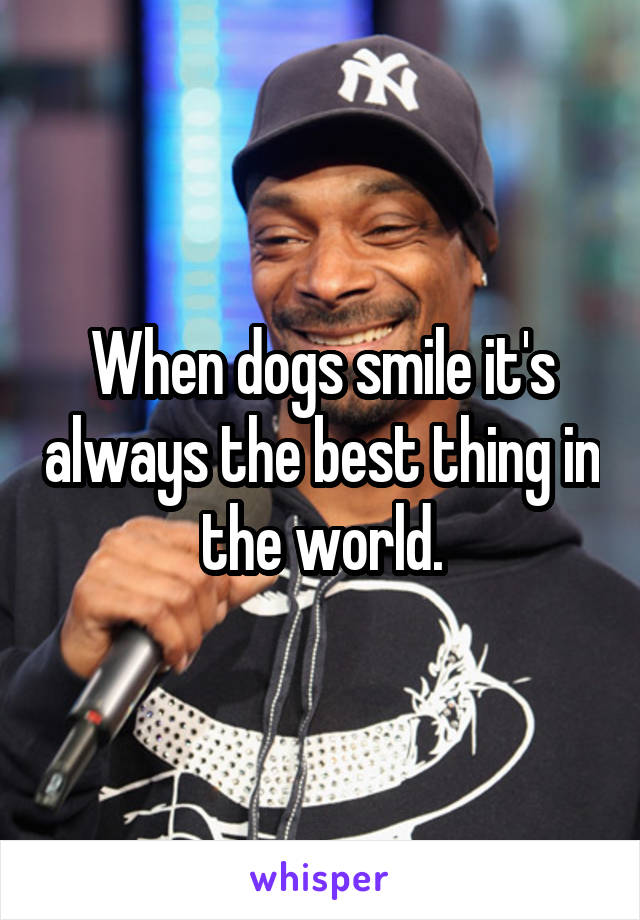 When dogs smile it's always the best thing in the world.