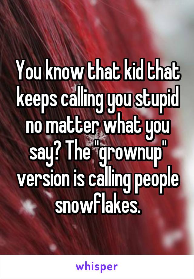 You know that kid that keeps calling you stupid no matter what you say? The "grownup" version is calling people snowflakes.