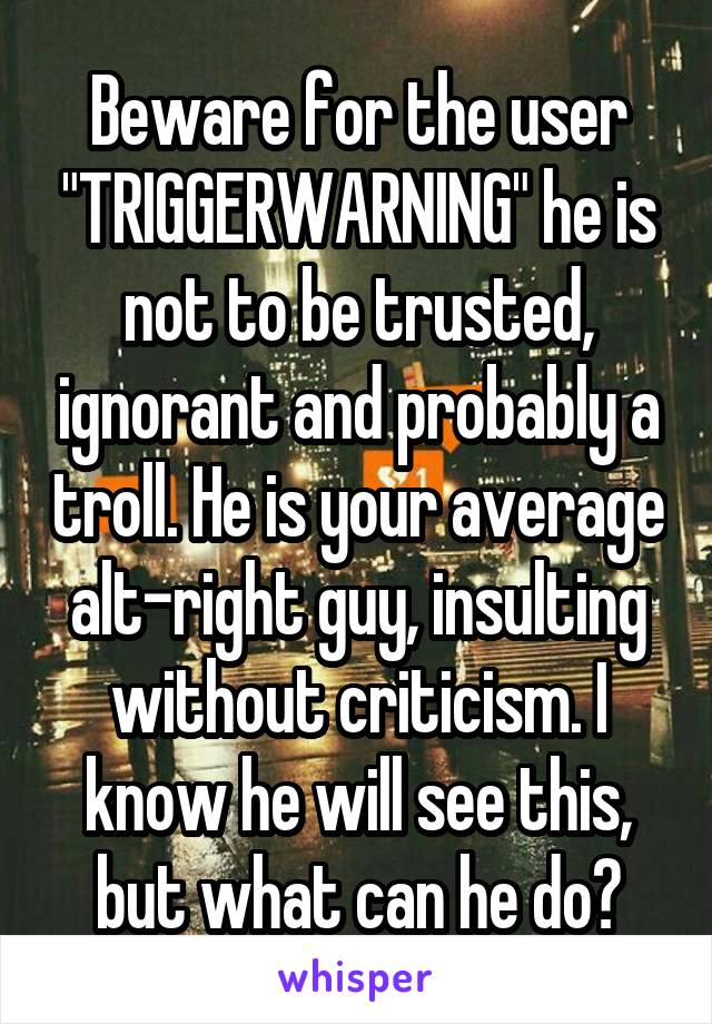 Beware for the user "TRIGGERWARNING" he is not to be trusted, ignorant and probably a troll. He is your average alt-right guy, insulting without criticism. I know he will see this, but what can he do?