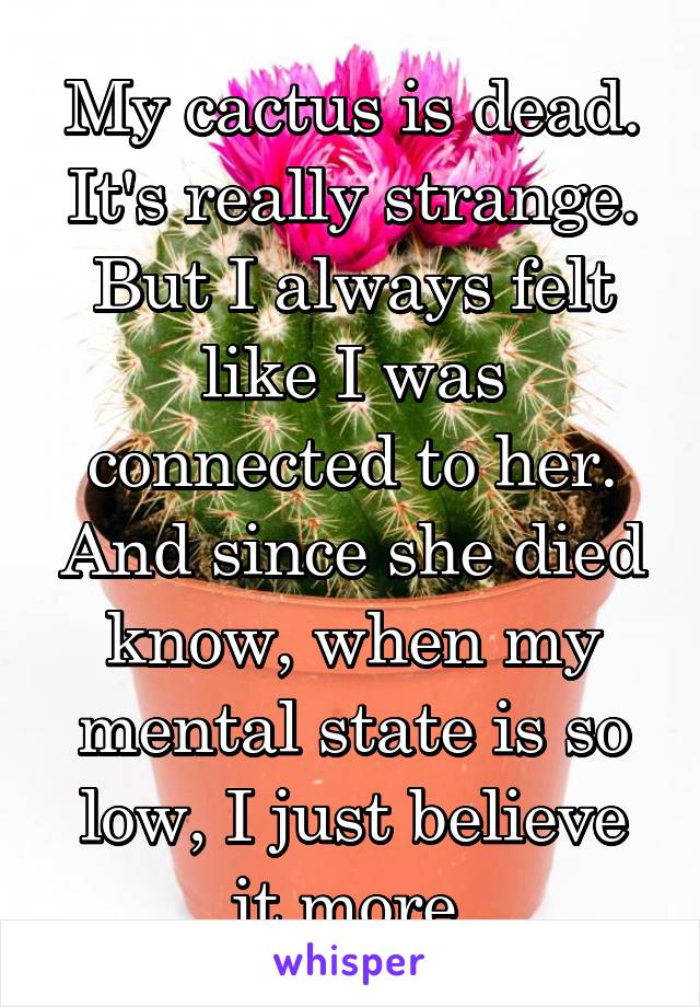 My cactus is dead.
It's really strange.
But I always felt like I was connected to her. And since she died know, when my mental state is so low, I just believe it more.