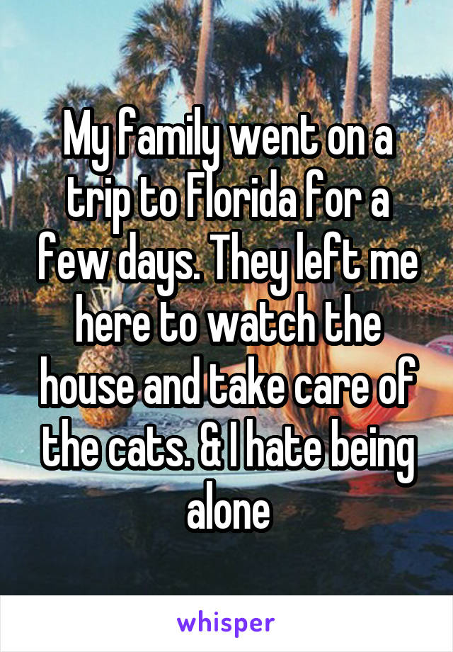 My family went on a trip to Florida for a few days. They left me here to watch the house and take care of the cats. & I hate being alone