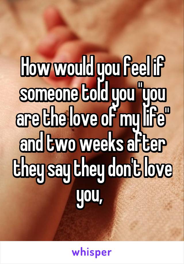 How would you feel if someone told you "you are the love of my life" and two weeks after they say they don't love you,  