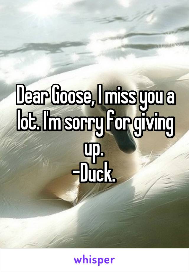 Dear Goose, I miss you a lot. I'm sorry for giving up. 
-Duck. 