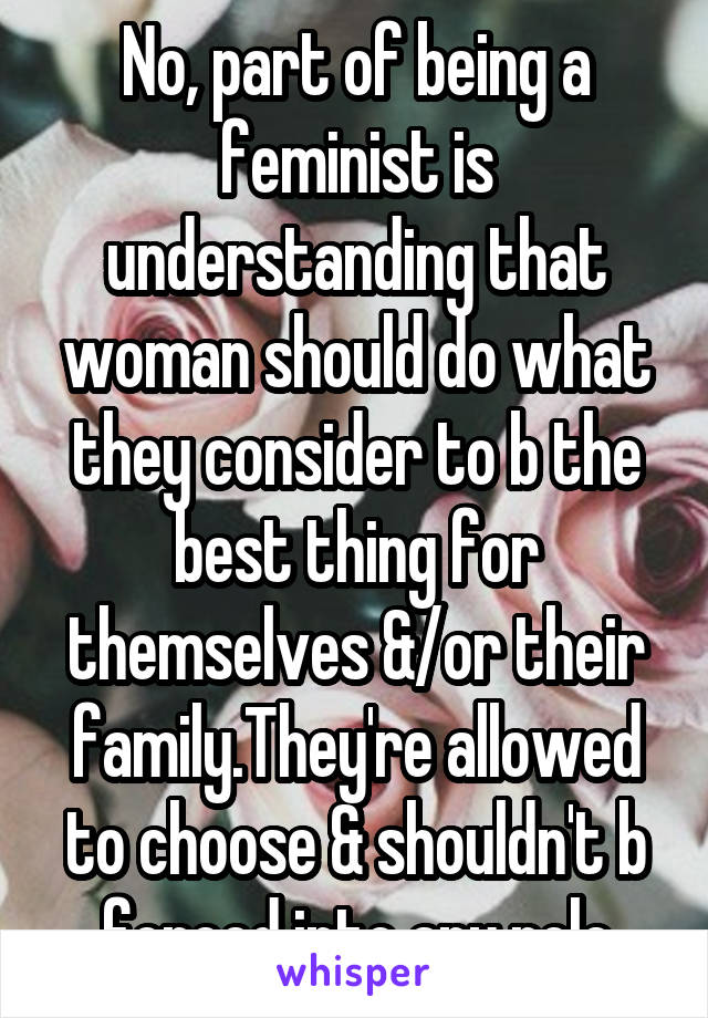 No, part of being a feminist is understanding that woman should do what they consider to b the best thing for themselves &/or their family.They're allowed to choose & shouldn't b forced into any role