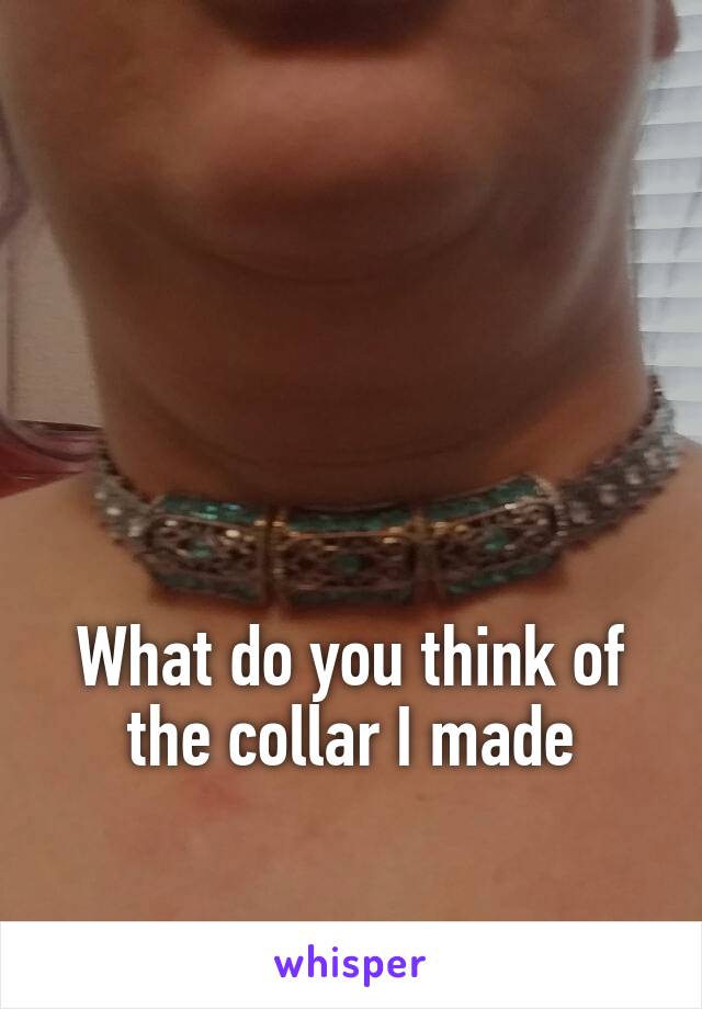 




What do you think of the collar I made