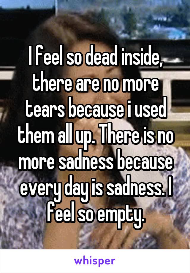 I feel so dead inside, there are no more tears because i used them all up. There is no more sadness because every day is sadness. I feel so empty.