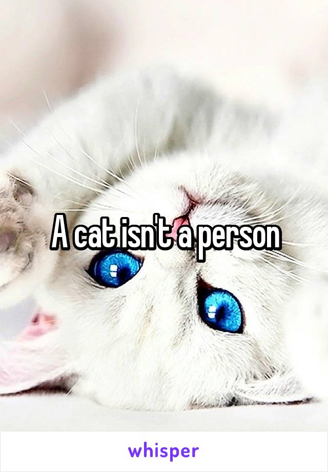 A cat isn't a person