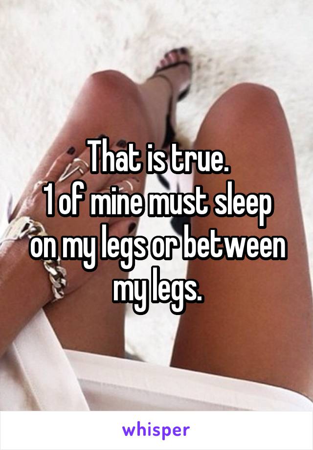 That is true.
1 of mine must sleep on my legs or between my legs.