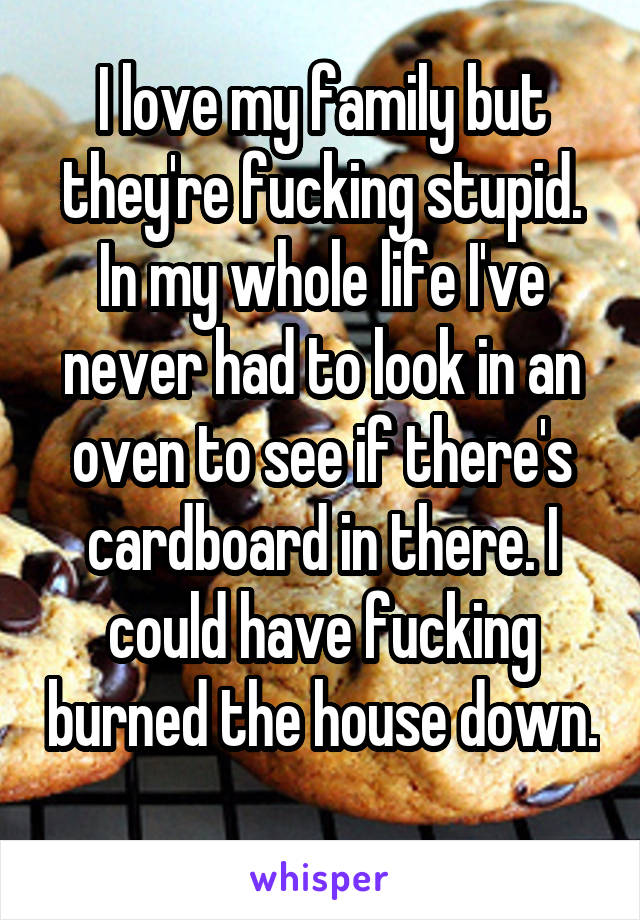 I love my family but they're fucking stupid. In my whole life I've never had to look in an oven to see if there's cardboard in there. I could have fucking burned the house down. 