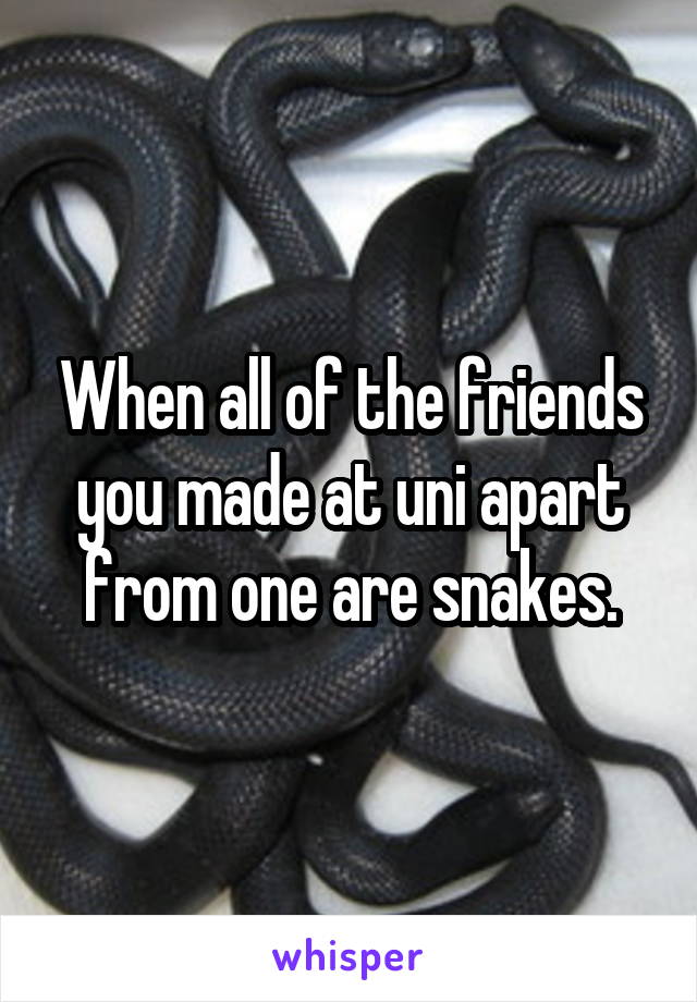 When all of the friends you made at uni apart from one are snakes.