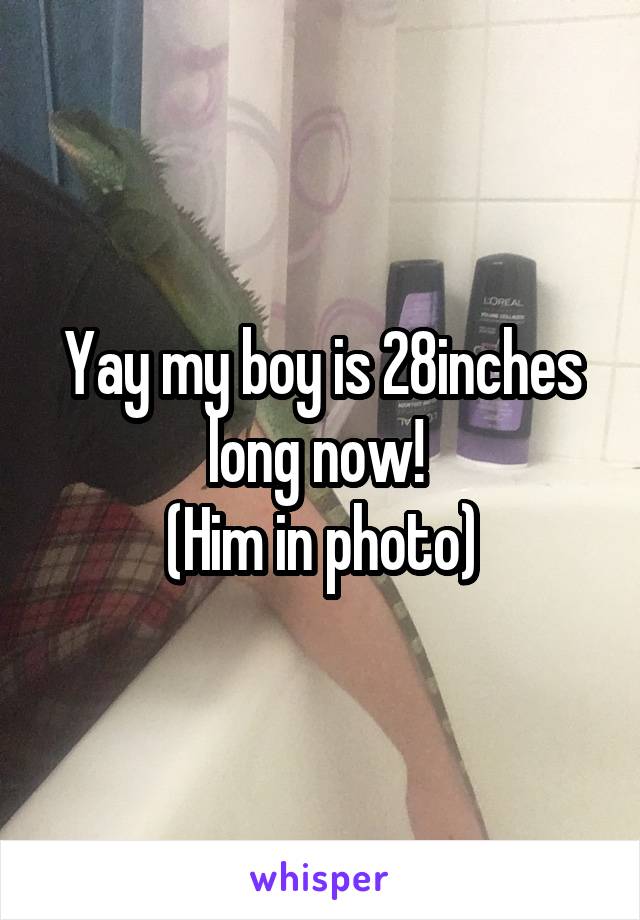 Yay my boy is 28inches long now! 
(Him in photo)