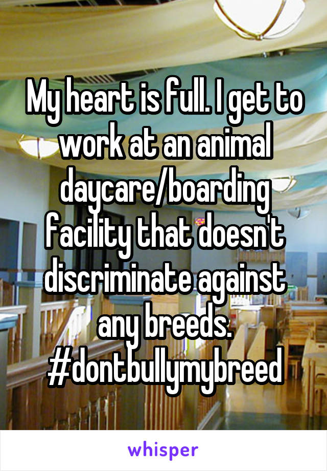 My heart is full. I get to work at an animal daycare/boarding facility that doesn't discriminate against any breeds. #dontbullymybreed