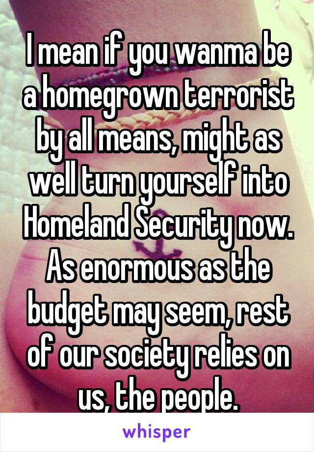 I mean if you wanma be a homegrown terrorist by all means, might as well turn yourself into Homeland Security now. As enormous as the budget may seem, rest of our society relies on us, the people.