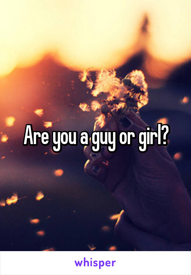 Are you a guy or girl?