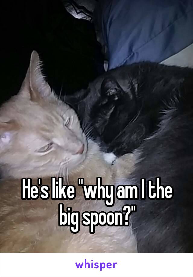 




He's like "why am I the big spoon?"