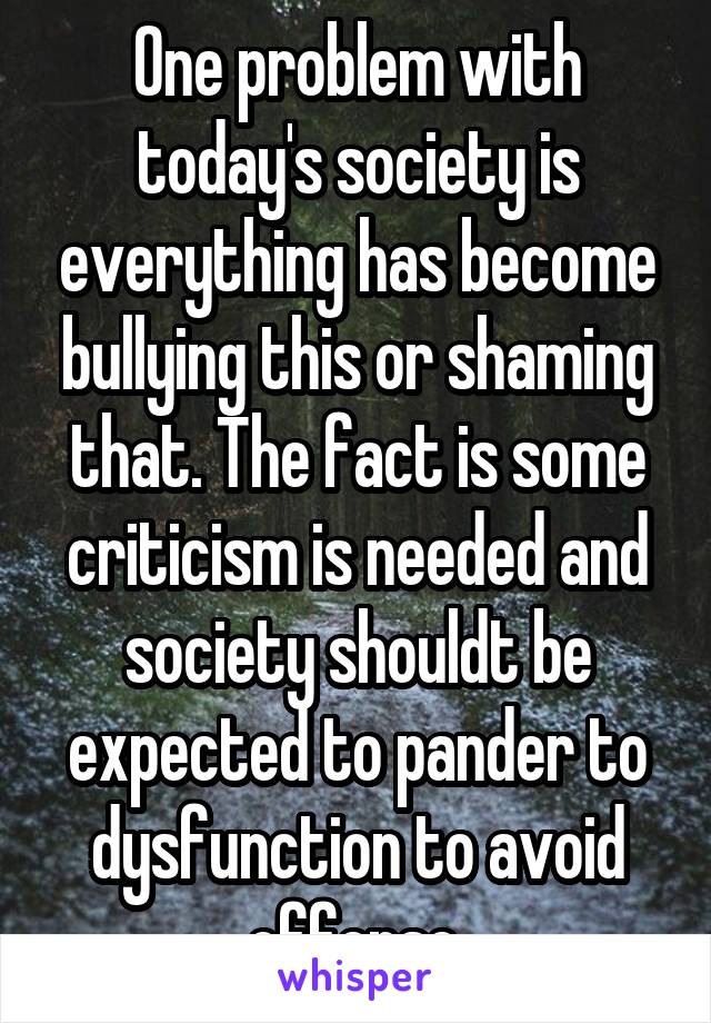 One problem with today's society is everything has become bullying this or shaming that. The fact is some criticism is needed and society shouldt be expected to pander to dysfunction to avoid offense.