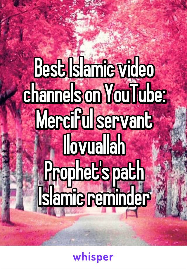 Best Islamic video channels on YouTube:
Merciful servant
Ilovuallah
Prophet's path
Islamic reminder