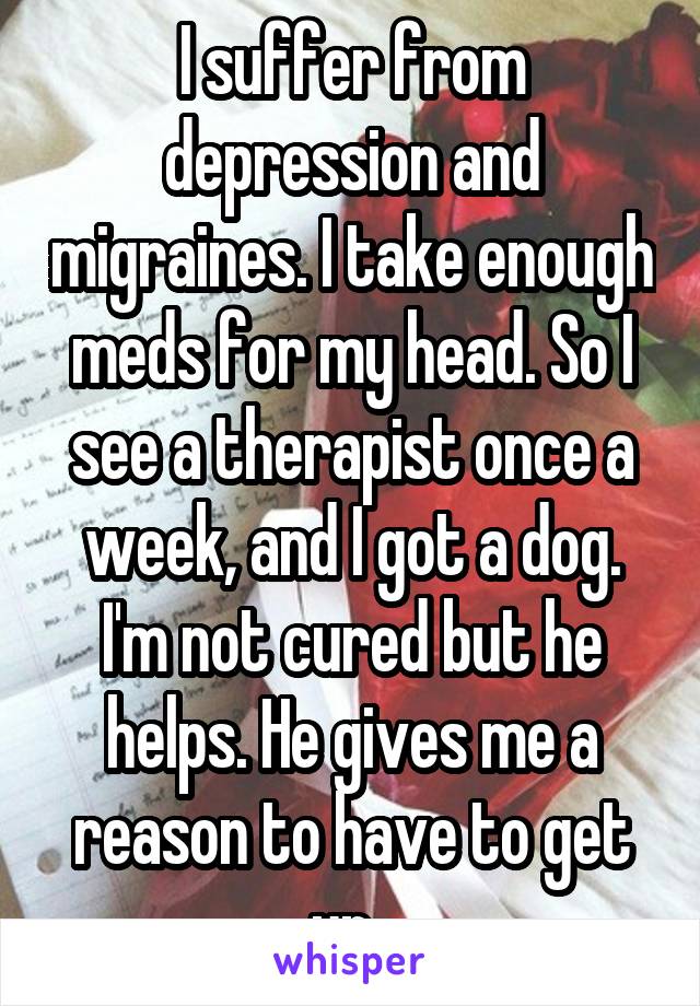 I suffer from depression and migraines. I take enough meds for my head. So I see a therapist once a week, and I got a dog. I'm not cured but he helps. He gives me a reason to have to get up. 