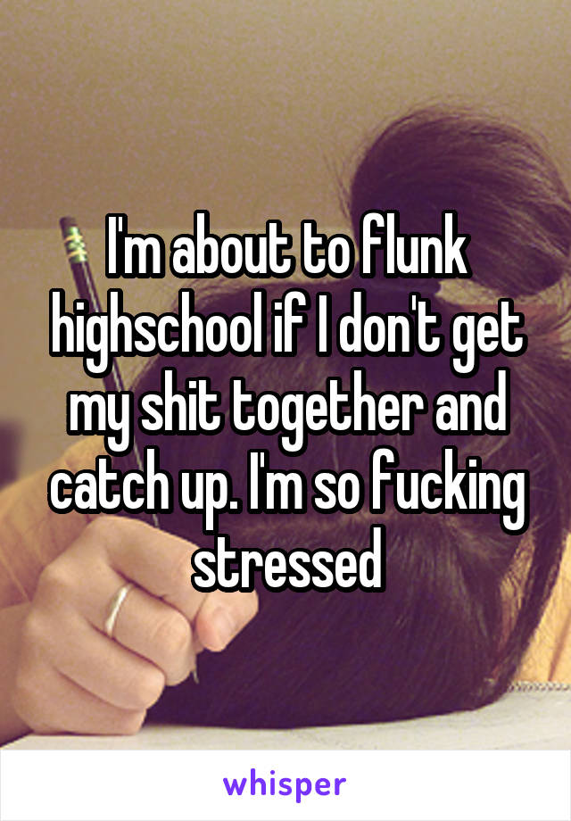 I'm about to flunk highschool if I don't get my shit together and catch up. I'm so fucking stressed