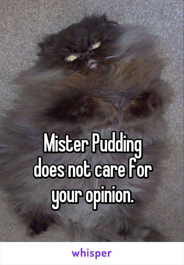 


Mister Pudding
does not care for
your opinion.