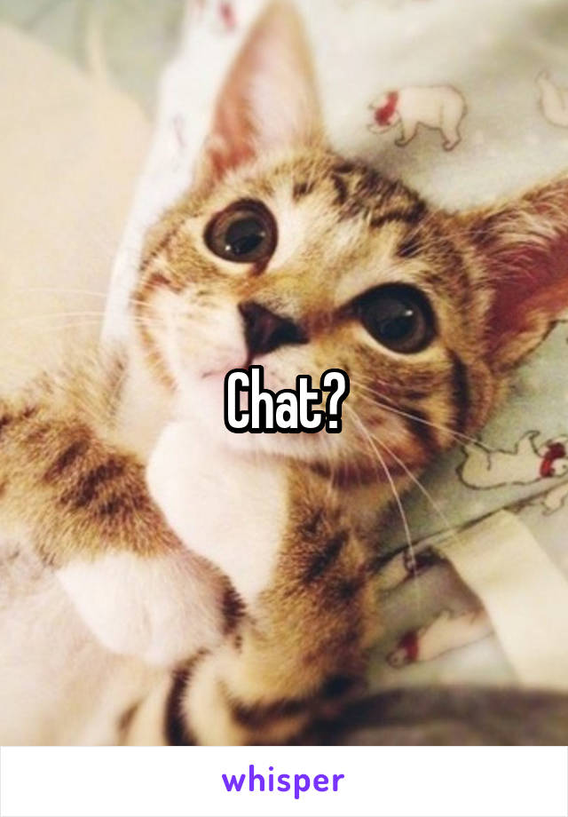 Chat?