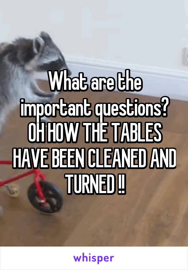 What are the important questions? OH HOW THE TABLES HAVE BEEN CLEANED AND TURNED !!