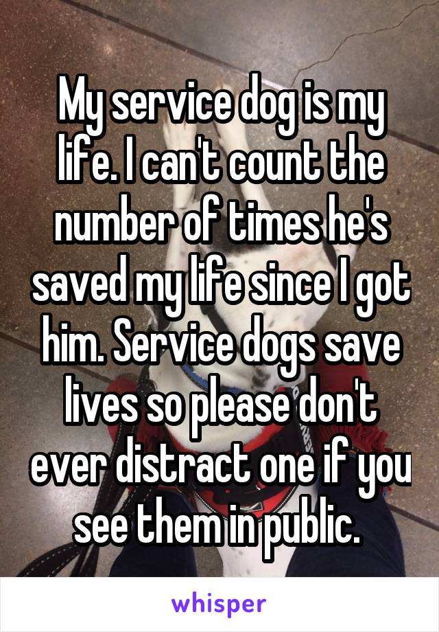 My service dog is my life. I can't count the number of times he's saved my life since I got him. Service dogs save lives so please don't ever distract one if you see them in public. 