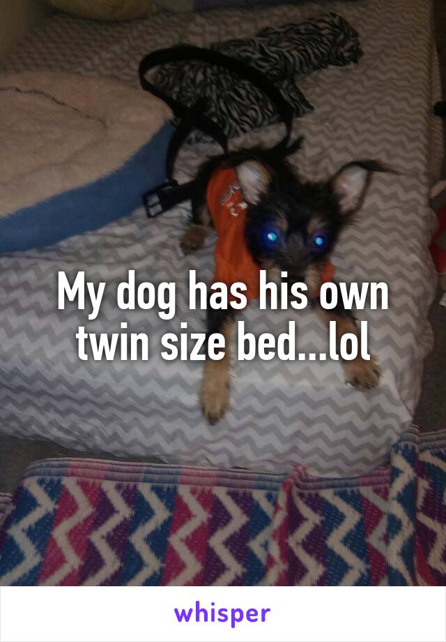 My dog has his own twin size bed...lol